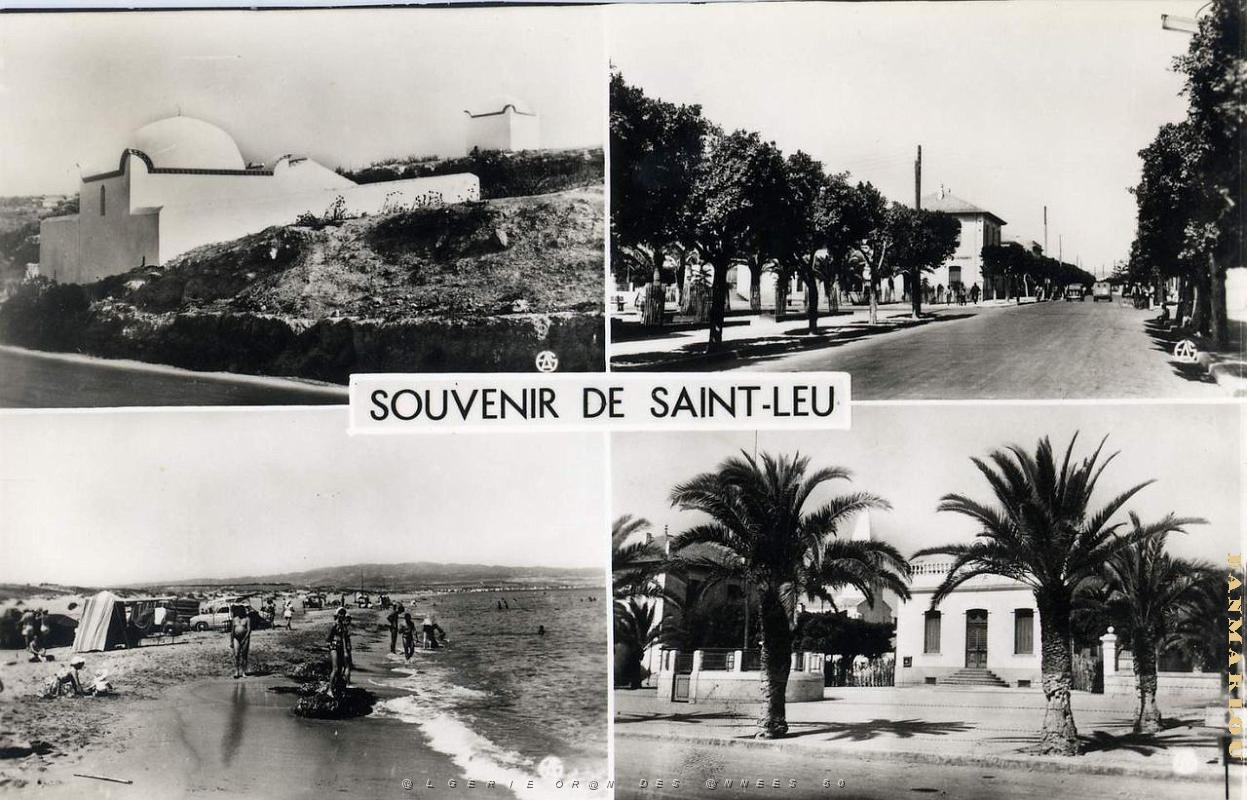 Saint Leu 503- Souvenirs COLLECTION DES AMIS DE ND DE SANTA CRUZ.jpg